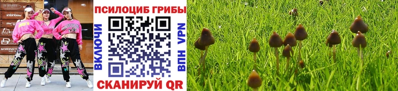 как найти закладки  mega зеркало  Псилоцибиновые грибы ЛСД  Курган 
