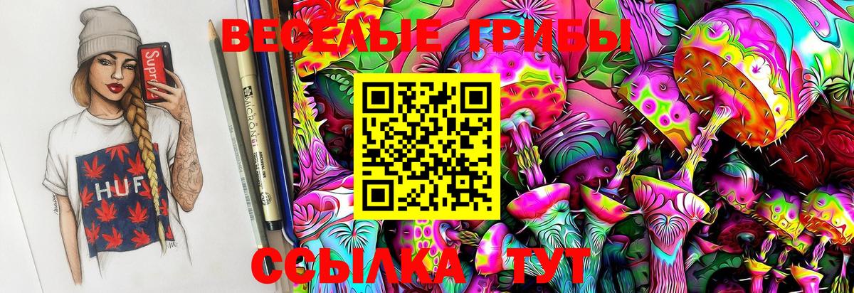 Галлюциногенные грибы Magic Shrooms  Псилоцибиновые грибы MAGIC MUSHROOMS  Вход с VPN  Курган 