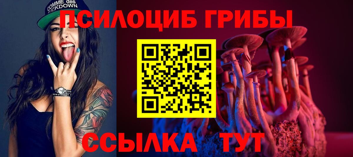 Галлюциногенные грибы мицелий Курган